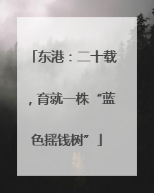 东港：二十载，育就一株“蓝色摇钱树”