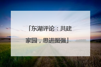 东湖评论：共建家园，思进图强