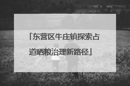 东营区牛庄镇探索占道晒粮治理新路径