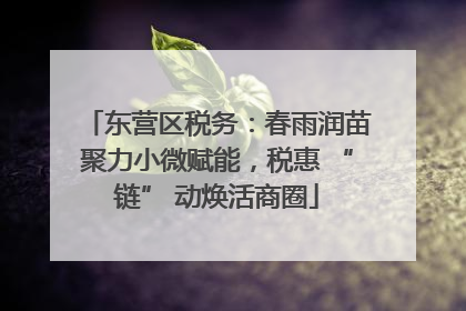 东营区税务：春雨润苗聚力小微赋能，税惠 “链” 动焕活商圈