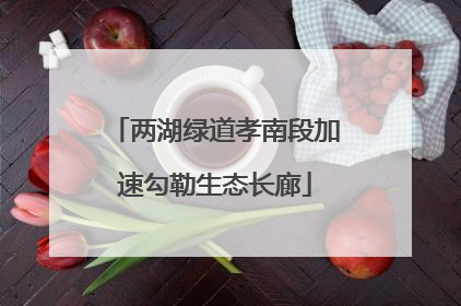 两湖绿道孝南段加速勾勒生态长廊