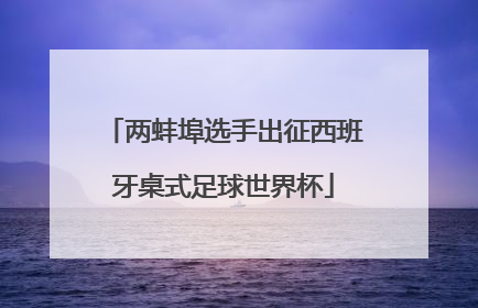 两蚌埠选手出征西班牙桌式足球世界杯