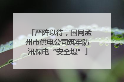 严阵以待，国网孟州市供电公司筑牢防汛保电“安全堤”