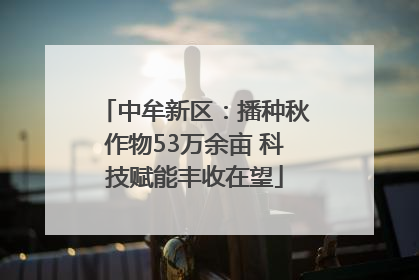 中牟新区：播种秋作物53万余亩 科技赋能丰收在望