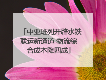 中亚班列开辟水铁联运新通道 物流综合成本降四成
