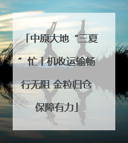 中原大地“三夏”忙丨机收运输畅行无阻 金粒归仓保障有力
