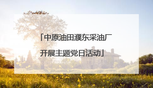 中原油田濮东采油厂开展主题党日活动