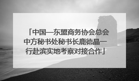 中国—东盟商务协会总会中方秘书处秘书长鹿德晶一行赴滨实地考察对接合作