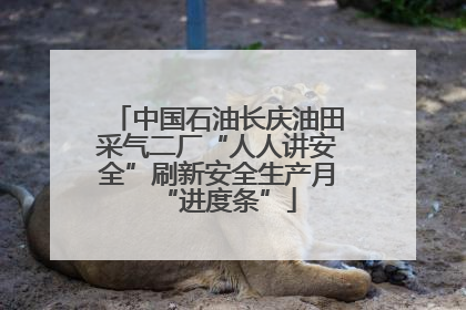 中国石油长庆油田采气二厂“人人讲安全”刷新安全生产月“进度条”