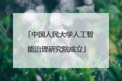 中国人民大学人工智能治理研究院成立