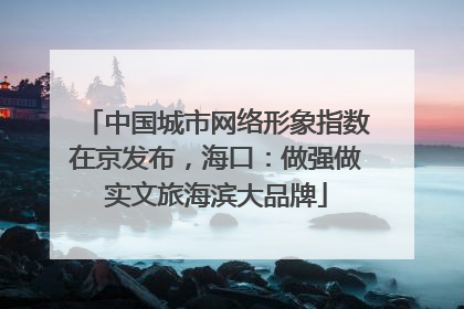 中国城市网络形象指数在京发布，海口：做强做实文旅海滨大品牌