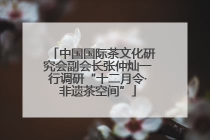 中国国际茶文化研究会副会长张仲灿一行调研“十二月令·非遗茶空间”