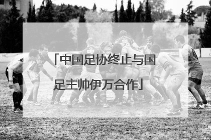 中国足协终止与国足主帅伊万合作