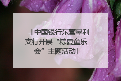 中国银行东营垦利支行开展“粽夏童乐会”主题活动