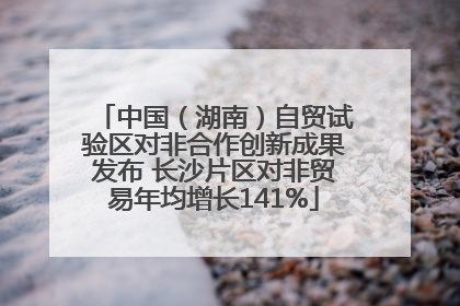 中国（湖南）自贸试验区对非合作创新成果发布 长沙片区对非贸易年均增长141%