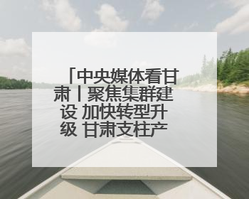 中央媒体看甘肃丨聚焦集群建设 加快转型升级 甘肃支柱产业增势强劲