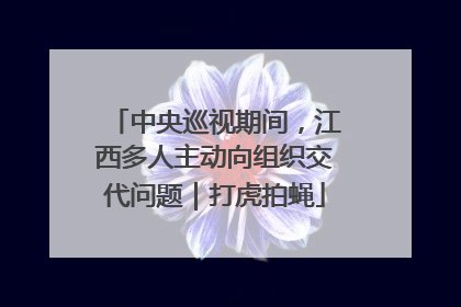 中央巡视期间，江西多人主动向组织交代问题｜打虎拍蝇