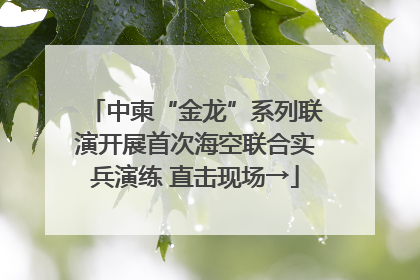中柬“金龙”系列联演开展首次海空联合实兵演练 直击现场→