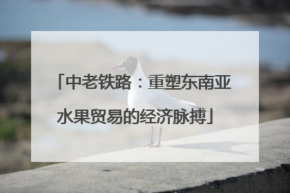 中老铁路：重塑东南亚水果贸易的经济脉搏