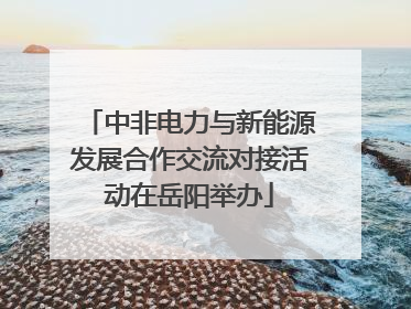 中非电力与新能源发展合作交流对接活动在岳阳举办