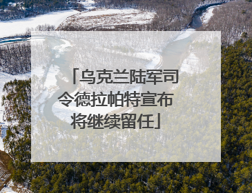 乌克兰陆军司令德拉帕特宣布将继续留任