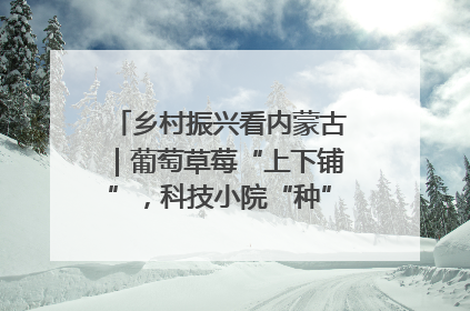 乡村振兴看内蒙古｜葡萄草莓“上下铺”，科技小院“种”出三倍效益