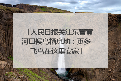 人民日报关注东营黄河口候鸟栖息地：更多飞鸟在这里安家