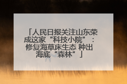 人民日报关注山东荣成这家“科技小院”：修复海草床生态 种出海底“森林”