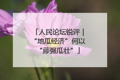 人民论坛锐评｜“地瓜经济”何以“藤强瓜壮”