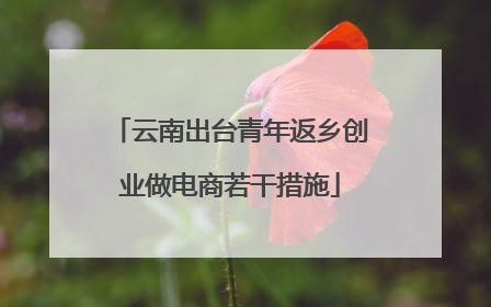 云南出台青年返乡创业做电商若干措施