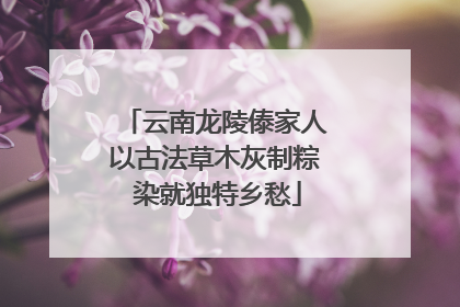 云南龙陵傣家人以古法草木灰制粽 染就独特乡愁