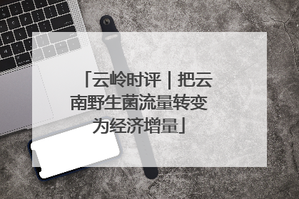 云岭时评｜把云南野生菌流量转变为经济增量