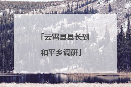 云霄县县长到和平乡调研