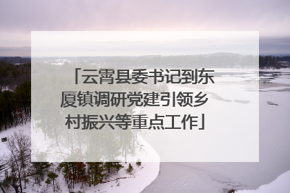 云霄县委书记到东厦镇调研党建引领乡村振兴等重点工作