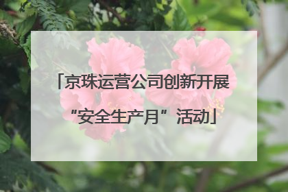 京珠运营公司创新开展“安全生产月”活动