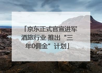 京东正式官宣进军酒旅行业 推出“三年0佣金”计划