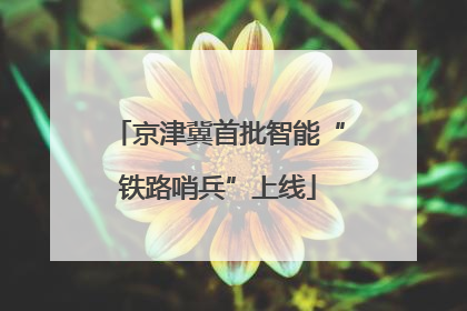 京津冀首批智能“铁路哨兵”上线