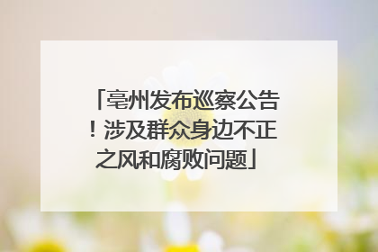 亳州发布巡察公告！涉及群众身边不正之风和腐败问题
