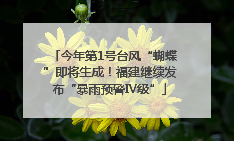 今年第1号台风“蝴蝶”即将生成！福建继续发布“暴雨预警Ⅳ级”