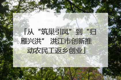 从“筑巢引凤”到“归雁兴洪” 洪江市创新推动农民工返乡创业