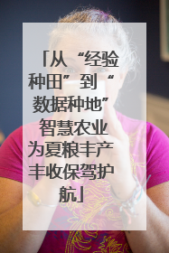 从“经验种田”到“数据种地” 智慧农业为夏粮丰产丰收保驾护航