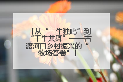 从“一牛独鸣”到“千牛共舞”——古渡河口乡村振兴的“牧场答卷”
