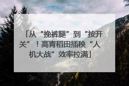从“挽裤腿”到“按开关”！高青稻田插秧“人机大战”效率拉满