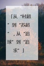 从“村超”到“苏超”，从“追球”到“追求”