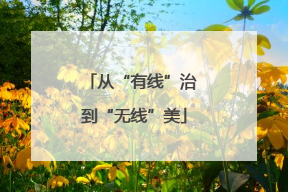 从“有线”治到“无线”美