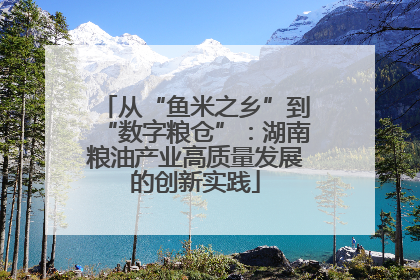 从“鱼米之乡”到“数字粮仓”：湖南粮油产业高质量发展的创新实践