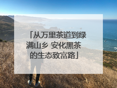 从万里茶道到绿满山乡 安化黑茶的生态致富路