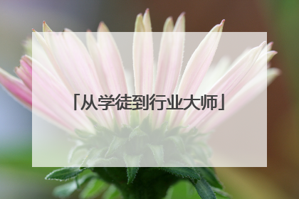 从学徒到行业大师