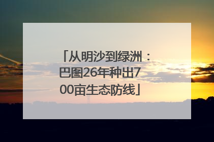 从明沙到绿洲：巴图26年种出700亩生态防线