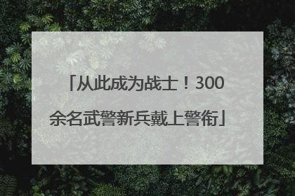 从此成为战士！300余名武警新兵戴上警衔